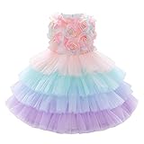 Baby Kleid Kleinkinder Mädchen Regenbogen Tüll Tütü...
